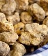 Truffe précieuse blanche fraîche - Tuber Magnatum Pico | Molise.Store