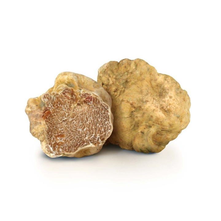 White Truffle - Tuber Magnatum Pico | Molise.Store