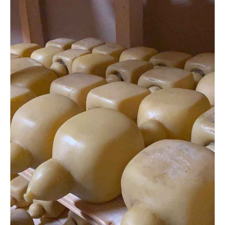 Square Caciocavallo | Molise.Store