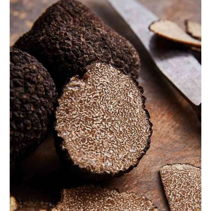 Schwarze Trüffel - Tuber Uncinatum | Molise.Store