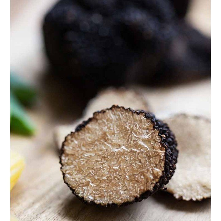Autumn (Burgundy) Truffle - Tuber Uncinatum | Molise.Store