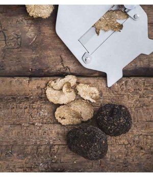 Truffe noire Uncinato - Tuber Uncinatum | Molise.Store