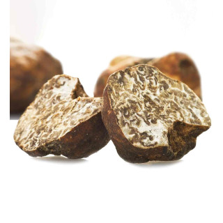 White Truffle - Tuber Borchii | Molise.Store