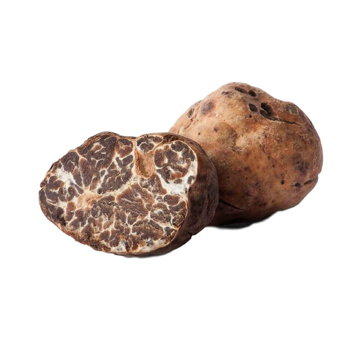 Truffe blanche - Tuber Borchii | Molise.Store