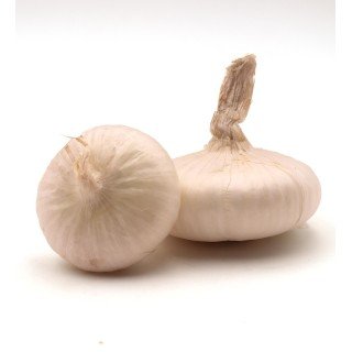 Onion of Isernia | Molise.Store