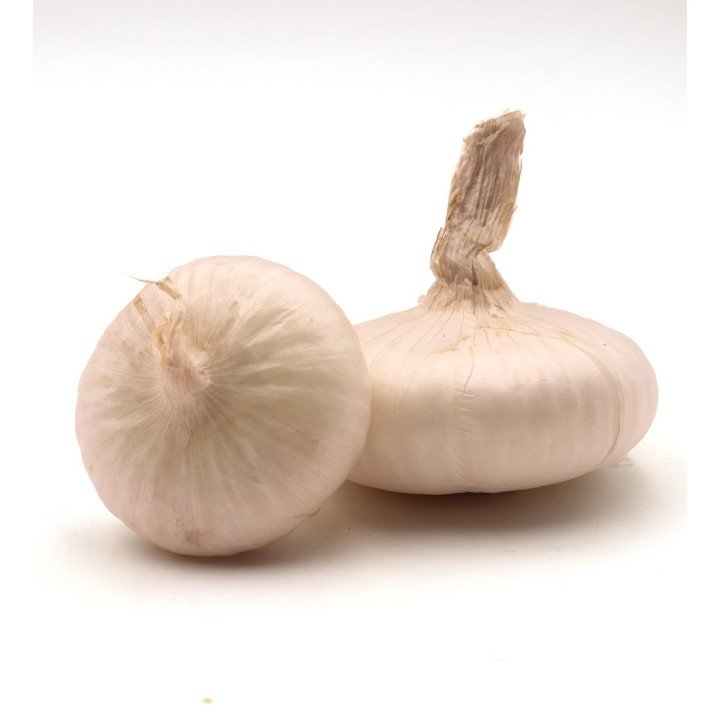 Onion of Isernia | Molise.Store