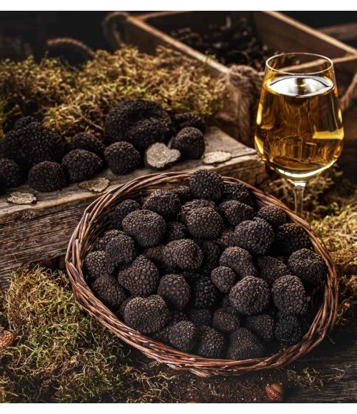 Truffe noire d'été | Molise.Store