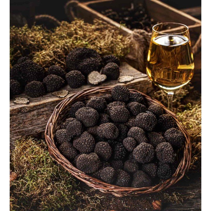 Tartufo Nero Estivo | Molise.Store