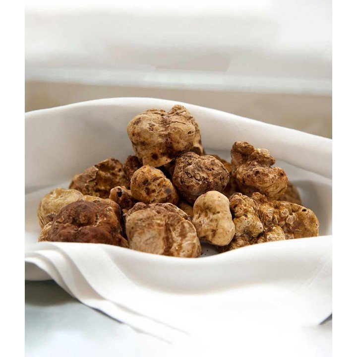 Frische kostbare weiße Trüffel - Tuber Magnatum Pico |