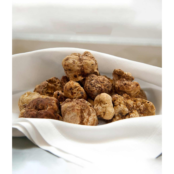 Truffe Blanche - Tuber Magnatum Pico | Molise.Store