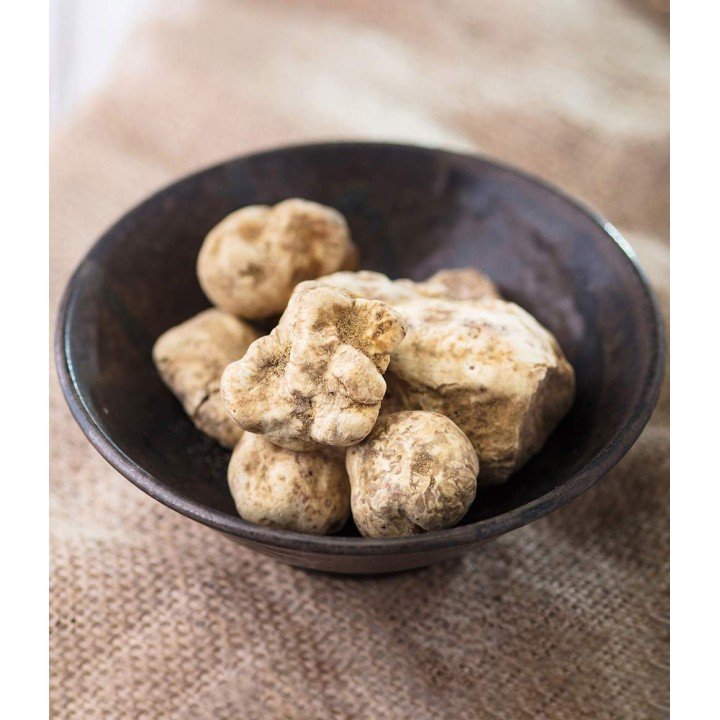 Tartufo Bianco Pregiato Fresco - Tuber Magnatum Pico |