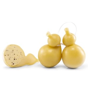 Truffe Burrino | Truffe Manteca